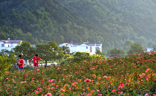 G20���(hu��)���ڣ����ϙ质9���^(q��)��(du��)�㽭�����T(m��n)Ʊ