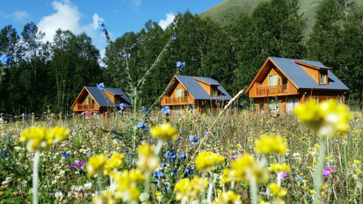 �������ξ�֪ͨ���ӿ����M(j��n)���{܇��܇�I�ؽ��O(sh��)