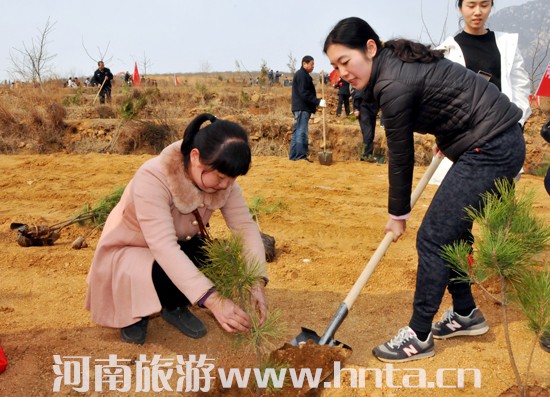 �ҾֽM���_չ2017�괺���x��ֲ����