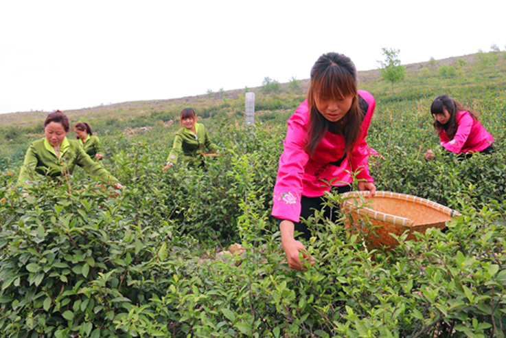 ����ʡ��(n��i)�l(xi��ng)�h��(zh��ng)��(chu��ng)5A ׌�����¸�·�ߵø����� 