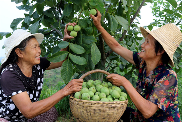 ����ʡ��(n��i)�l(xi��ng)�h��(zh��ng)��(chu��ng)5A ׌�����¸�·�ߵø����� 