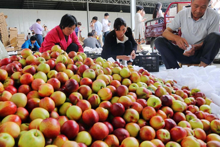 ����ʡ��(n��i)�l(xi��ng)�h��(zh��ng)��(chu��ng)5A ׌�����¸�·�ߵø����� 