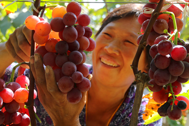 ����ʡ��(n��i)�l(xi��ng)�h��(zh��ng)��(chu��ng)5A ׌�����¸�·�ߵø����� 