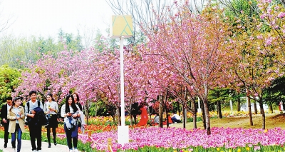 �G���@������(ji��)�p������(d��ng)�r(sh��)