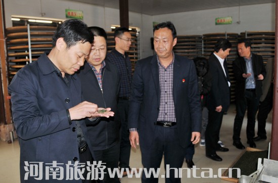 ����ʡ���ξָ����L���ӑc�{(di��o)�й�ɽ�h���η�ؚ����