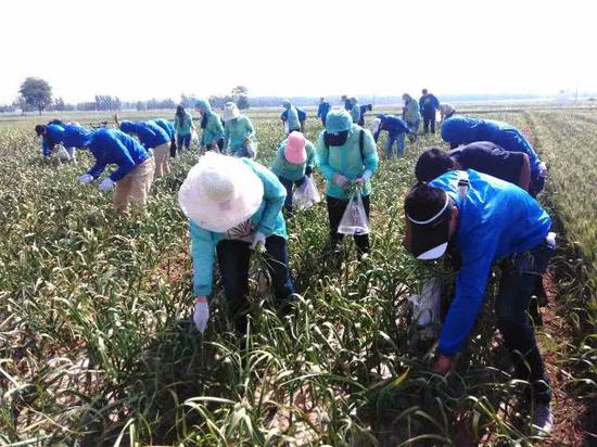 �����Ϻӈ@�M���T���x��(w��)�����r(n��ng)����޷