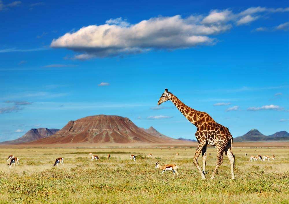 �������δ��(hu��)���h���d���ΘI(y��)