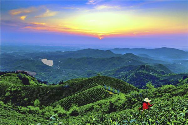 ��ꖣ���ȫ���������I(l��ng)���B(t��i)�l(f��)չ֮·