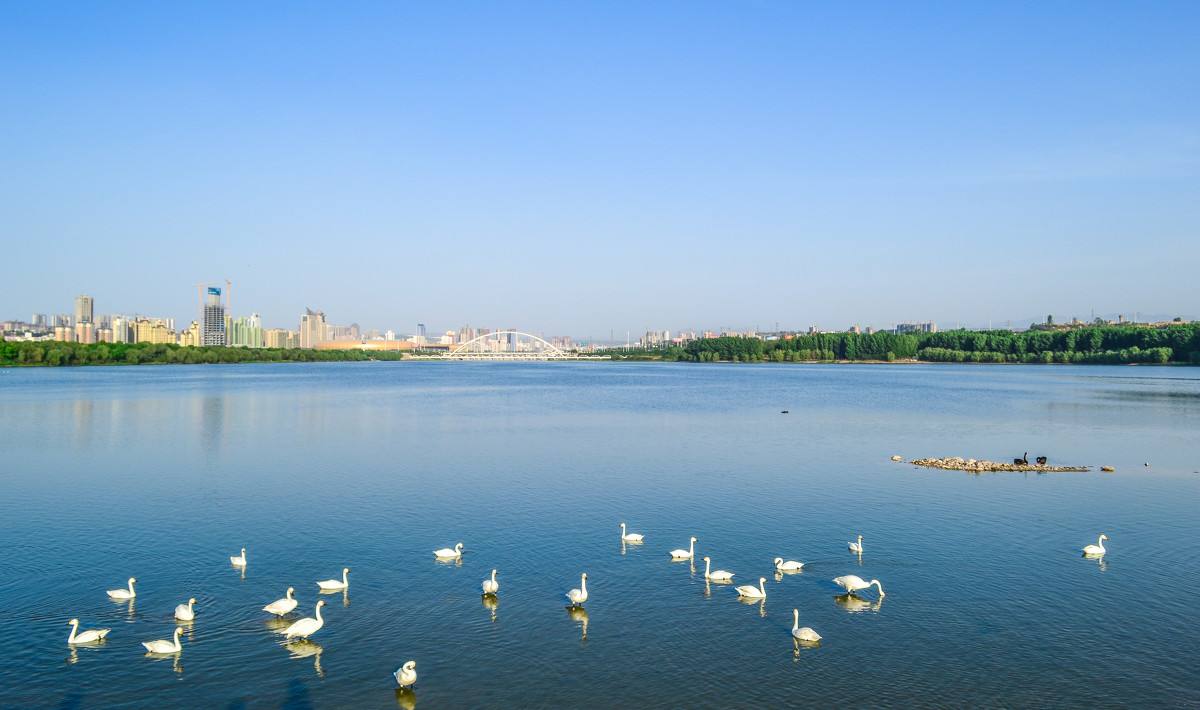 �l(f��)��&ldquo;���΄�(chu��ng)�I(y��)&rdquo;�l(f��)չȫ������