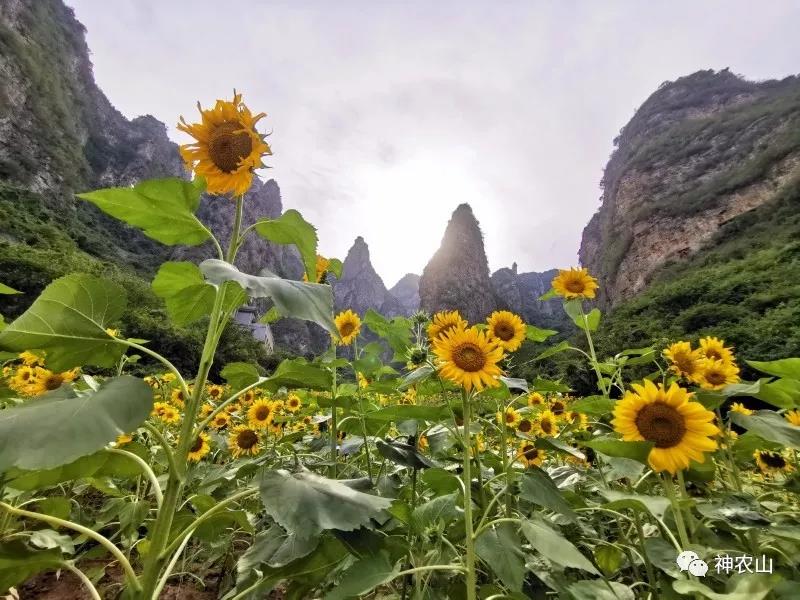 �������rɽ�����_ˎ����